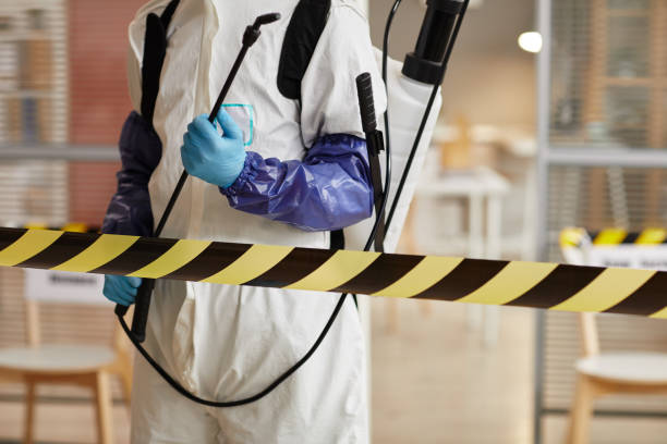 Professional Sewage Cleanup technician working in Driscoll, TX